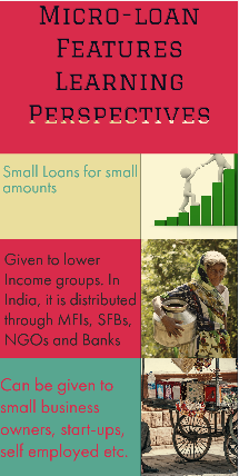 What are microfinance loans?