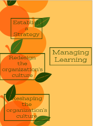 What is Managing Learning?
