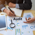 what is an audit