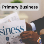 what is primary business
